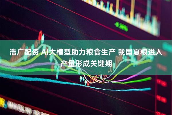 浩广配资 AI大模型助力粮食生产 我国夏粮进入产量形成关键期