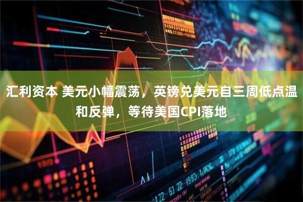 汇利资本 美元小幅震荡，英镑兑美元自三周低点温和反弹，等待美国CPI落地